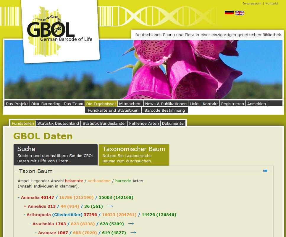 Screenshot der GBOL-Webseite