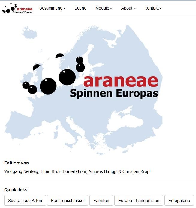 Screenshot der araneae Webseiten